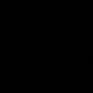 Meet your Posher, Aaliyah